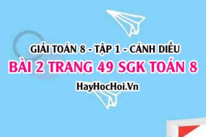 Giải bài 2 trang 49 Toán 8 Tập 1 SGK Cánh Diều
